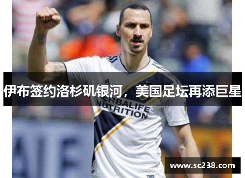 伊布签约洛杉矶银河，美国足坛再添巨星
