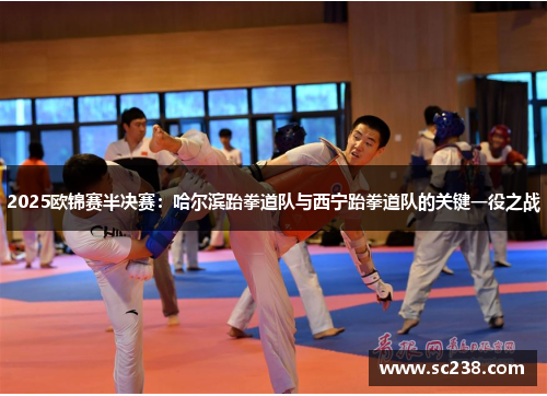 2025欧锦赛半决赛：哈尔滨跆拳道队与西宁跆拳道队的关键一役之战