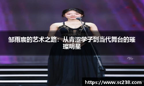 邹雨宸的艺术之路：从青涩学子到当代舞台的璀璨明星